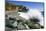 Boulders and Crashing Surf, Limekiln State Park, Big Sur, California, Usa-Russ Bishop-Mounted Photographic Print