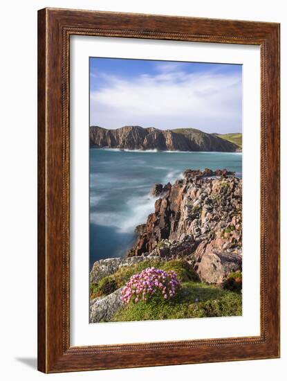 Boulders and Wildflowers-Michael Blanchette Photography-Framed Photographic Print