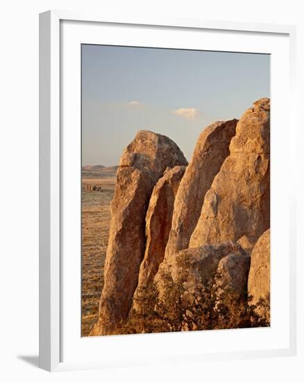 Boulders at Sunset, City of Rocks State Park, New Mexico, United States of America, North America-James Hager-Framed Photographic Print