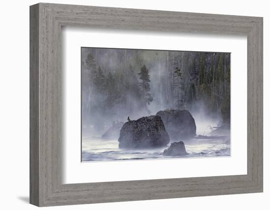 Boulders in Early Morning Mist, Gibbon River, Yellowstone National Park, Wyoming-Adam Jones-Framed Photographic Print