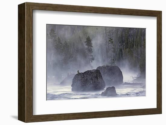 Boulders in Early Morning Mist, Gibbon River, Yellowstone National Park, Wyoming-Adam Jones-Framed Photographic Print