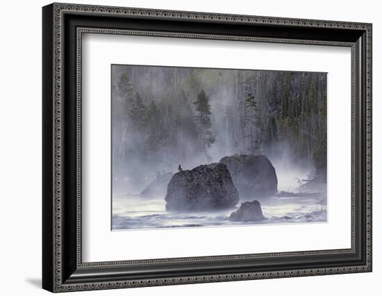 Boulders in Early Morning Mist, Gibbon River, Yellowstone National Park, Wyoming-Adam Jones-Framed Photographic Print