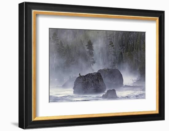 Boulders in Early Morning Mist, Gibbon River, Yellowstone National Park, Wyoming-Adam Jones-Framed Photographic Print