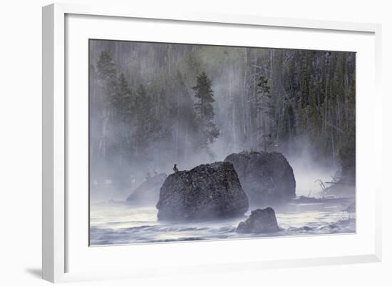 Boulders in Early Morning Mist, Gibbon River, Yellowstone National Park, Wyoming-Adam Jones-Framed Photographic Print