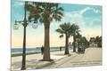 Premium Giclee Print