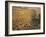 Boulevard Des Capucines, 1873-Claude Monet-Framed Giclee Print