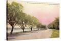 Stretched Canvas Print
