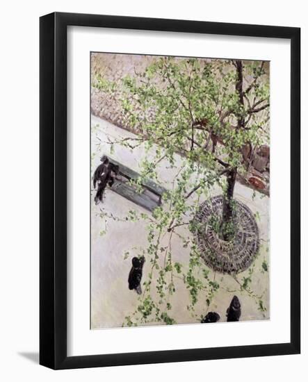 Boulevard Seen from Above, 1880 (Oil on Canvas)-Gustave Caillebotte-Framed Giclee Print