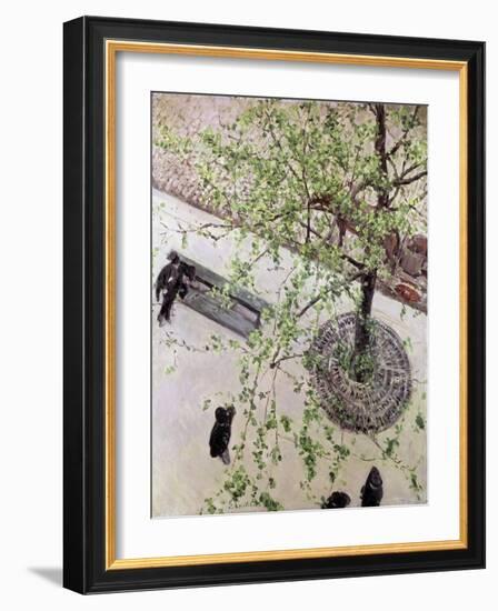 Boulevard Seen from Above, 1880 (Oil on Canvas)-Gustave Caillebotte-Framed Giclee Print