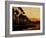 Boulevard-Katherine Sanderson-Framed Photographic Print