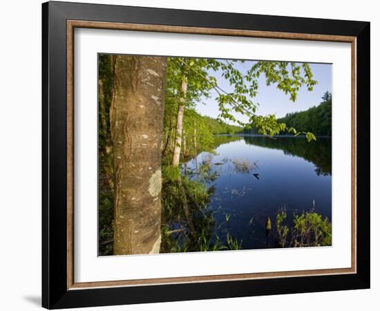 Boulter Pond at Highland Farm, York, Maine-Jerry & Marcy Monkman-Framed Photographic Print