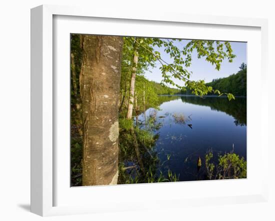 Boulter Pond at Highland Farm, York, Maine-Jerry & Marcy Monkman-Framed Photographic Print