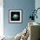 Bouncy-Blue Fish-Framed Art Print displayed on a wall