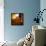 Boundary Line-Philippe Sainte-Laudy-Framed Premier Image Canvas displayed on a wall