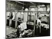 Photographic Print