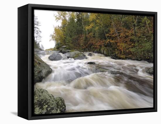 Boundary Waters Canoe Area Wilderness, Superior National Forest, Minnesota, USA-Gary Cook-Framed Premier Image Canvas