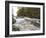 Boundary Waters Canoe Area Wilderness, Superior National Forest, Minnesota, USA-Gary Cook-Framed Photographic Print