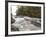 Boundary Waters Canoe Area Wilderness, Superior National Forest, Minnesota, USA-Gary Cook-Framed Photographic Print