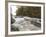 Boundary Waters Canoe Area Wilderness, Superior National Forest, Minnesota, USA-Gary Cook-Framed Photographic Print