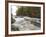 Boundary Waters Canoe Area Wilderness, Superior National Forest, Minnesota, USA-Gary Cook-Framed Photographic Print