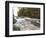 Boundary Waters Canoe Area Wilderness, Superior National Forest, Minnesota, USA-Gary Cook-Framed Photographic Print