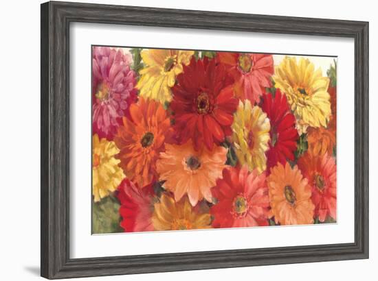 Bountiful Gerberas-Carol Rowan-Framed Art Print