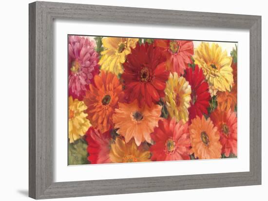 Bountiful Gerberas-Carol Rowan-Framed Art Print