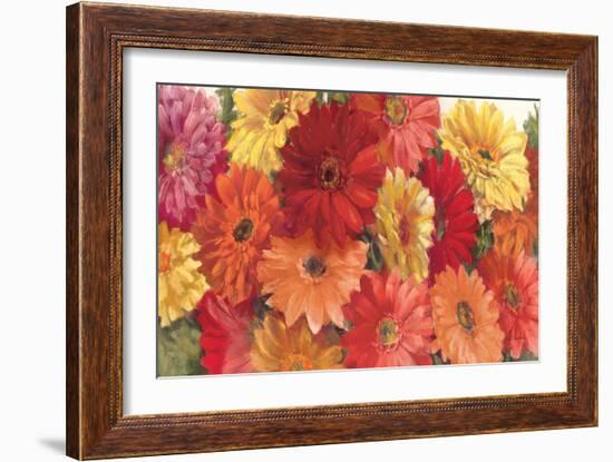 Bountiful Gerberas-Carol Rowan-Framed Art Print