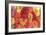 Bountiful Gerberas-Carol Rowan-Framed Art Print