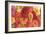 Bountiful Gerberas-Carol Rowan-Framed Art Print