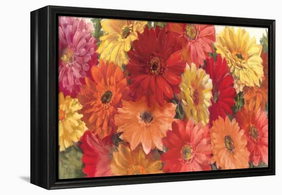 Bountiful Gerberas-Carol Rowan-Framed Stretched Canvas