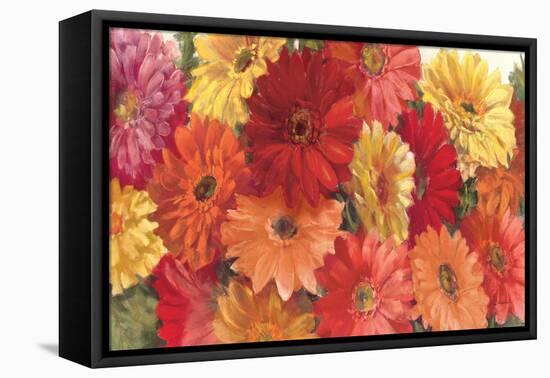 Bountiful Gerberas-Carol Rowan-Framed Stretched Canvas