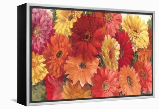 Bountiful Gerberas-Carol Rowan-Framed Stretched Canvas