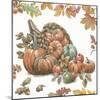 Bountiful Harvest III-Leslie Trimbach-Mounted Art Print