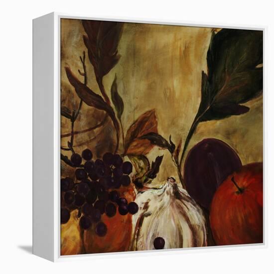 Bountiful II-Jodi Maas-Framed Premier Image Canvas