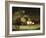 Bountiful Still Life-Hugh Newell-Framed Giclee Print