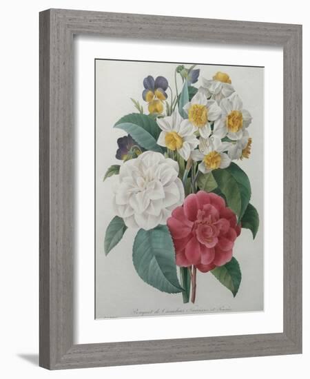 Bouqet of Camellias, Narcisses and Pansies-Pierre-Joseph Redoute-Framed Art Print