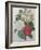 Bouqet of Camellias, Narcisses and Pansies-Pierre-Joseph Redoute-Framed Art Print