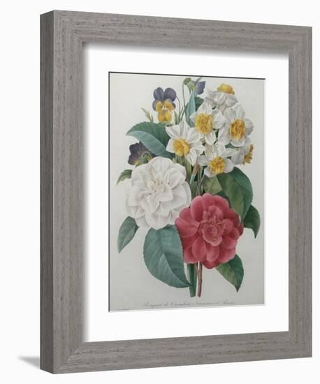 Bouqet of Camellias, Narcisses and Pansies-Pierre-Joseph Redoute-Framed Art Print