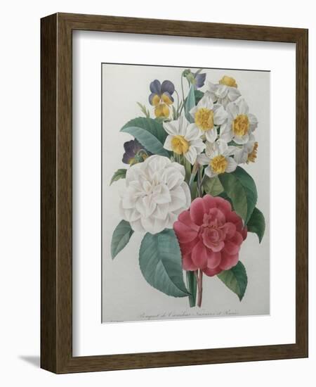 Bouqet of Camellias, Narcisses and Pansies-Pierre-Joseph Redoute-Framed Art Print