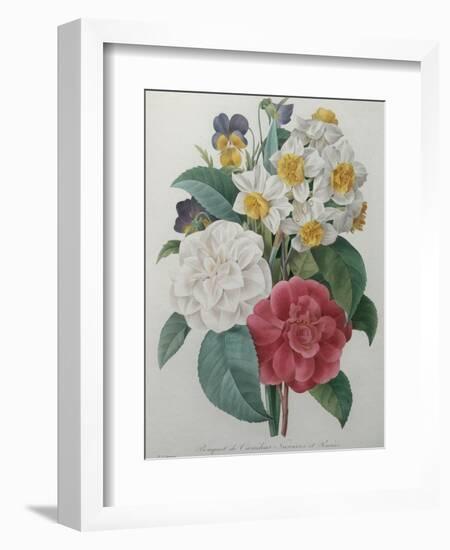 Bouqet of Camellias, Narcisses and Pansies-Pierre-Joseph Redoute-Framed Art Print