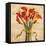 Bouquet ambra-Lisa Corradini-Framed Stretched Canvas