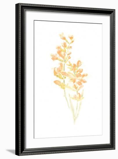 Bouquet Blush I-June Vess-Framed Art Print