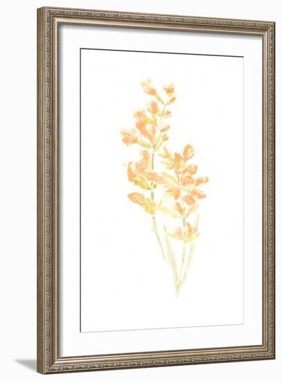 Bouquet Blush I-June Vess-Framed Art Print