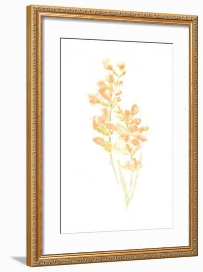 Bouquet Blush I-June Vess-Framed Art Print