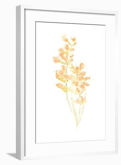 Bouquet Blush I-June Vess-Framed Art Print