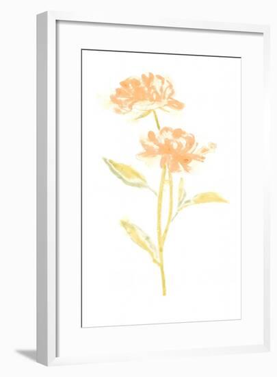 Bouquet Blush VII-June Vess-Framed Art Print