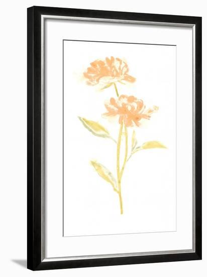 Bouquet Blush VII-June Vess-Framed Art Print