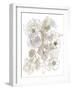 Bouquet Burst II - Neutral-Katrien Soeffers-Framed Giclee Print