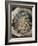 Bouquet dans une loge-Pierre-Auguste Renoir-Framed Giclee Print